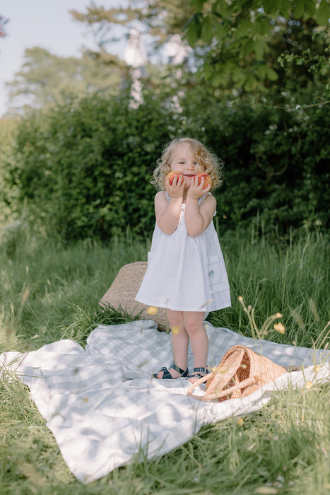 Maris Embroidered Dress